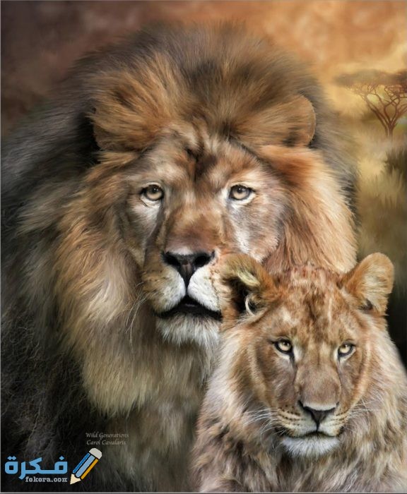 IMG ٢٠٢٠١١١٨ ٢١٤٢١٧