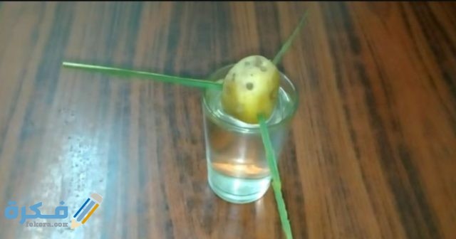 IMG ٢٠٢٠١١٢٧ ٠٨١٢٤٢