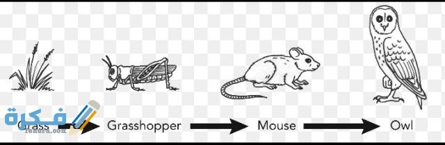 IMG ٢٠٢٠١١٢٨ ٢٣٥٣١٩