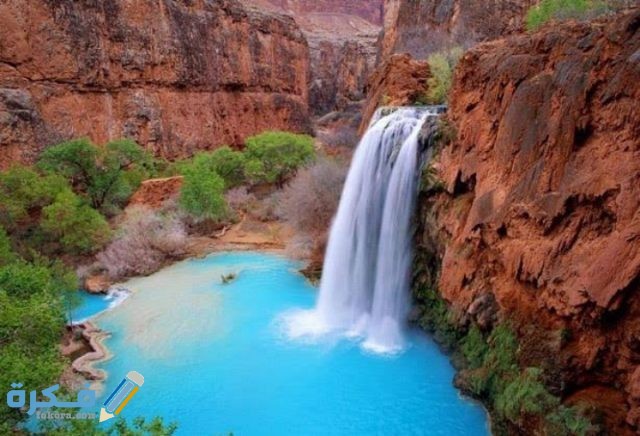 IMG ٢٠٢٠١١٢٩ ٠١٢٠٠٧