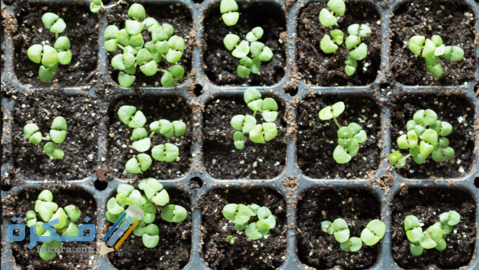 Screen Shot 2016 09 11 at 10.28.37 PM large