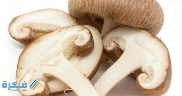 baa108d95772474cb61f6e8f55d4ac6f