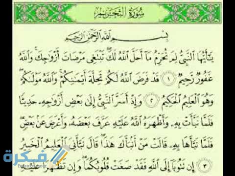فضل قراءة سورة التحريم hqdefault 6