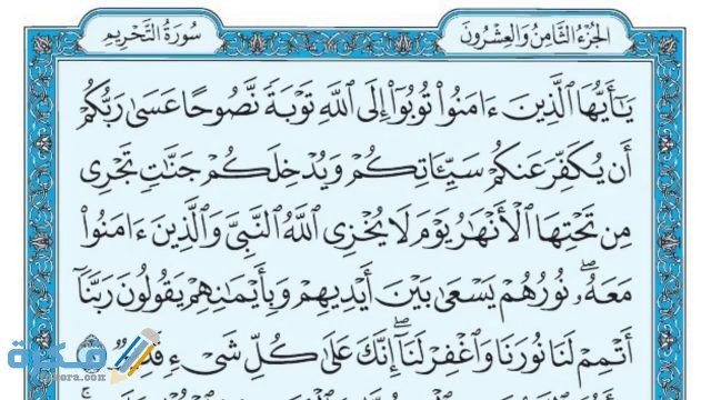 فضل قراءة سورة التحريم maxresdefault 12