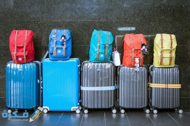 تفسير حلم حقيبة الظهر للعزباء