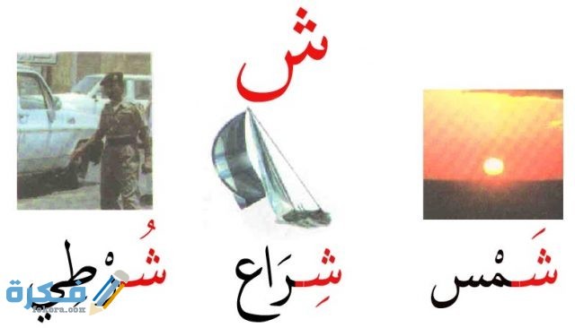 اسم جماد بحرف ش الشين مختلف