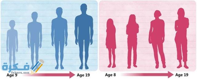 ما هي مرحلة المراهقة