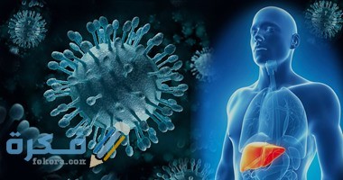 12201524111611865hep c slide