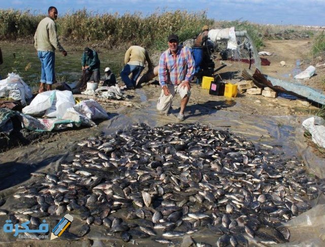 1472658727 237 304502 img 2876copy 789x600 1