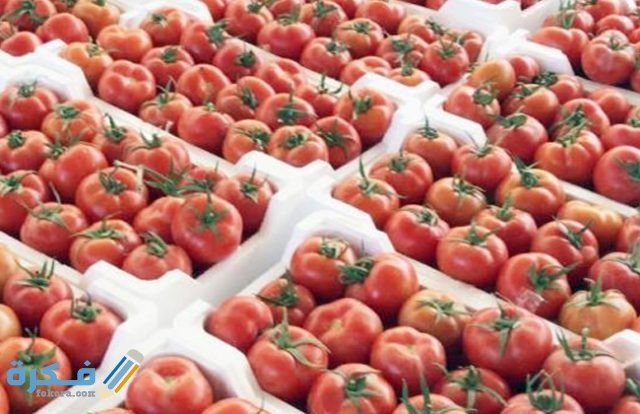 19 2019 637037150353177765 317