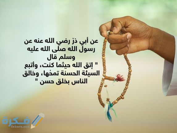 1b4b7269c596f6f456de146ea02964e2