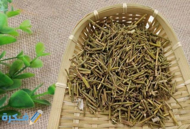 فوائد عشبة العلندة لعلاج مرض السرطان