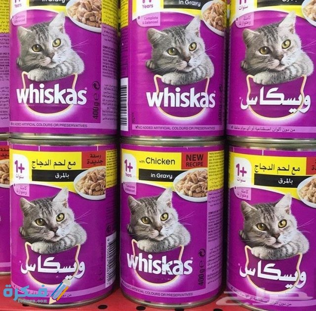 743x731 1 GO MTYwMjM2MTg1Mzg0MDk3NzEzNzM0OQ