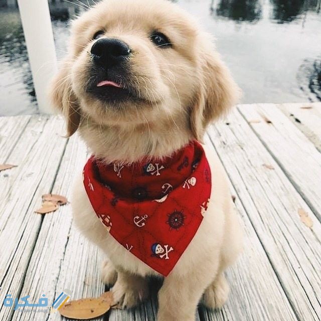 75ec0a789a07a725ed74023dc8286885