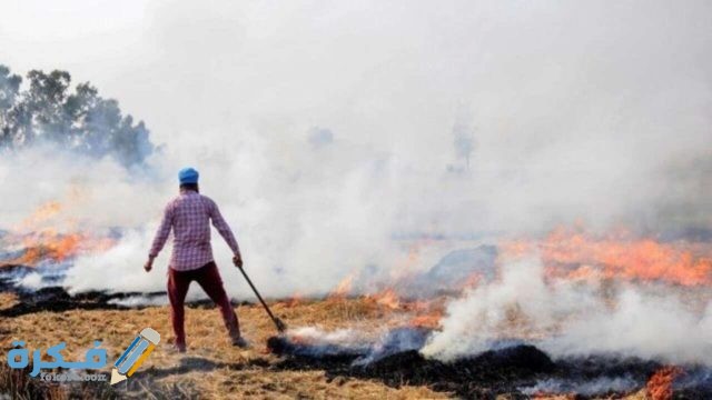 بَحث عن تلوث الهواء 928614 air pollution due to stubble burning