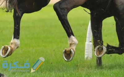 D02C7EDC BF00 46F9 9B83 05EB9DC7F1F2