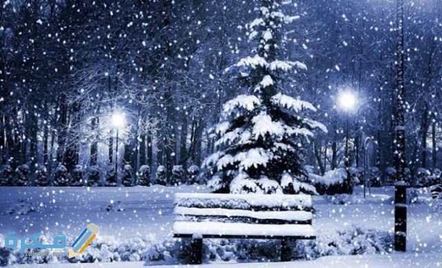 إذاعة مدرسية عن دخول فصل الشتاء IMG ٢٠٢٠١٢٠٣ ٠٢٥٨٠٧