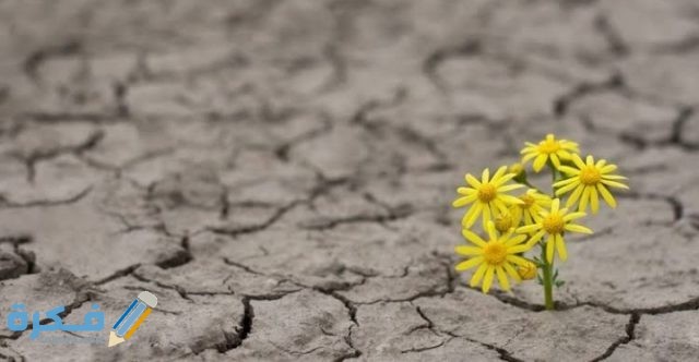 IMG ٢٠٢٠١٢٠٣ ٠٢٥٨٣٥