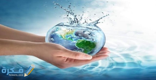 IMG ٢٠٢٠١٢٠٤ ٠١٠٦١٢