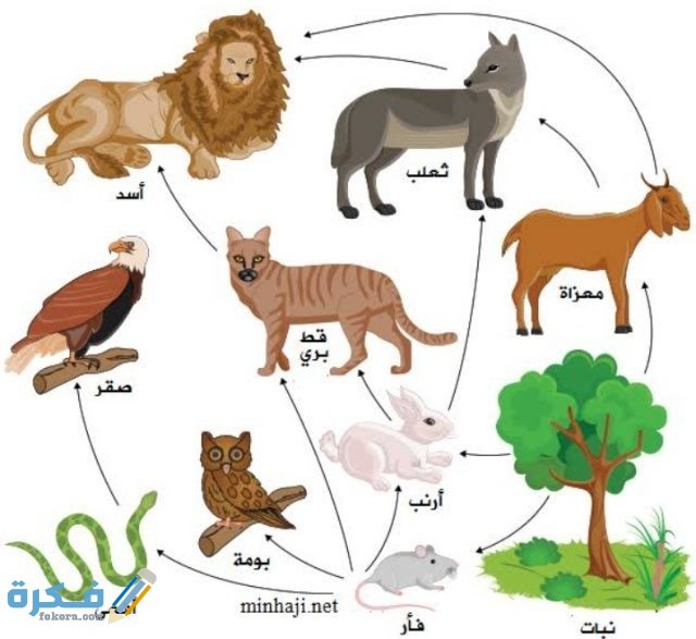 IMG ٢٠٢٠١٢٠٥ ٠٢٢١٠٥