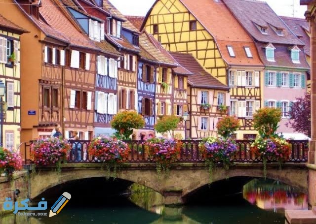 IMG ٢٠٢٠١٢١٣ ٠٠١٠٤٤