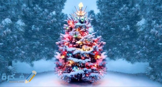 صور احتفالات رأس السنه 2021 IMG ٢٠٢٠١٢١٦ ١٥٤٧٣٠