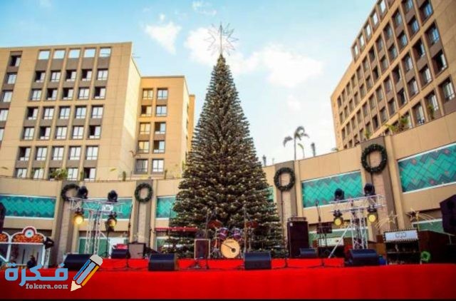 صور احتفالات رأس السنه 2021 IMG ٢٠٢٠١٢١٦ ١٥٥٠٠١