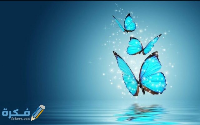 IMG ٢٠٢٠١٢١٦ ٢٠٣٢٤٥