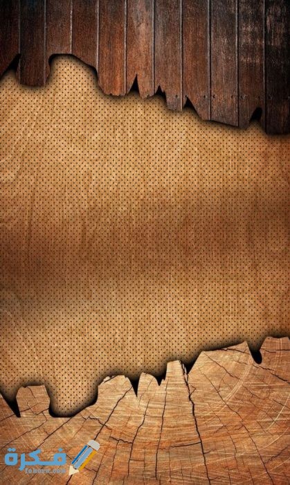 IMG ٢٠٢٠١٢١٦ ٢٠٣٥٤٩