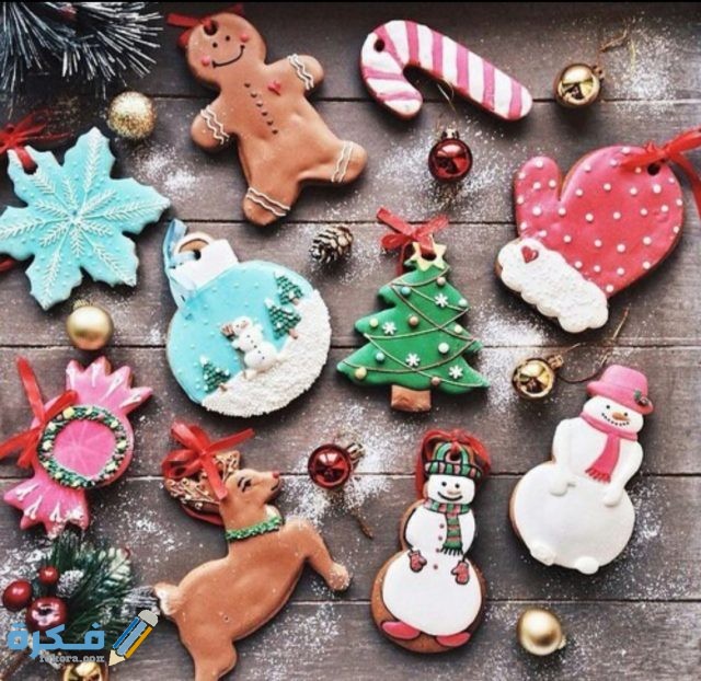 IMG ٢٠٢٠١٢١٦ ٢٠٤٩٠١