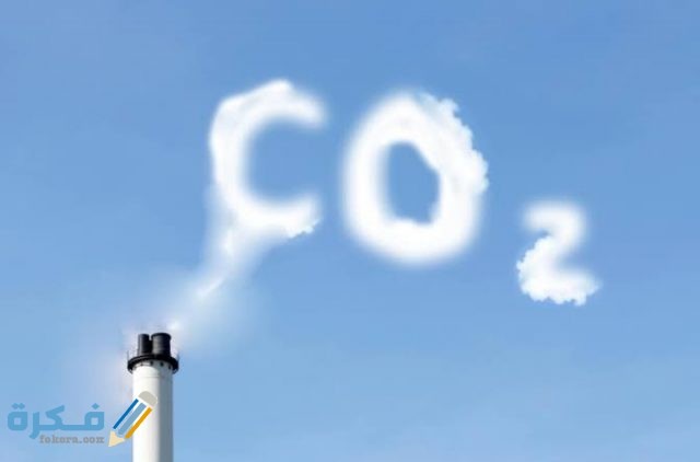 IMG ٢٠٢٠١٢٢١ ٠٢١٣١١