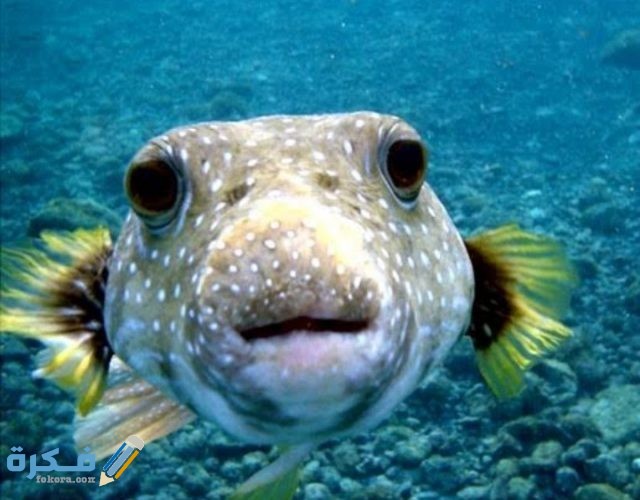 IMG ٢٠٢٠١٢٢١ ٠٢١٣٣١