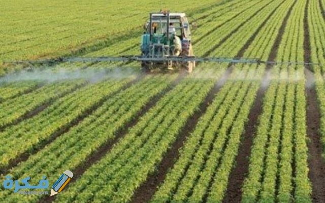 IMG ٢٠٢٠١٢٢٣ ٠٠١٩٠٠