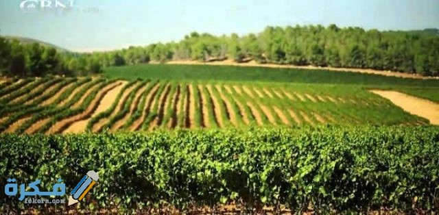 IMG ٢٠٢٠١٢٢٣ ٠٠١٩١٨