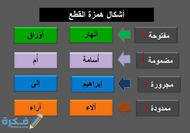 IMG ٢٠٢٠١٢٢٣ ٠٠٢٠٠٣