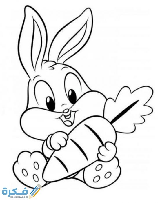 IMG ٢٠٢٠١٢٢٣ ١٧٤٧٣٨