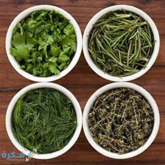 اسماء اعشاب تقوي الذاكرة وتحسن الفهم