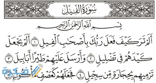 b645742fdeabd0506433d53fcca48875