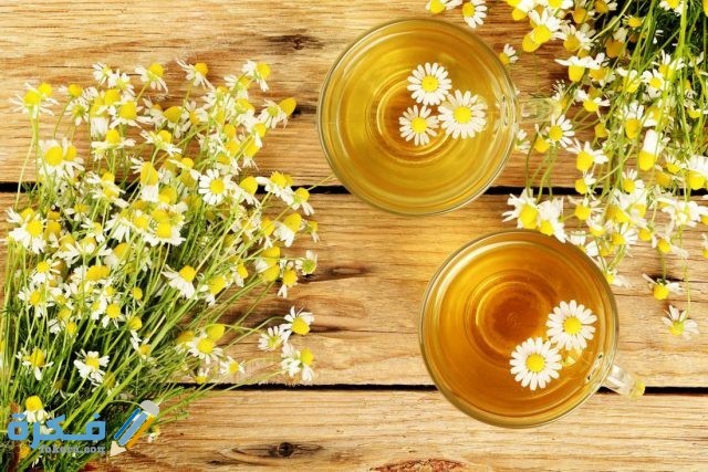 فوائد البابونج للتخسيس والرجيم