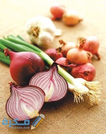 دراسة جدوى لمشروع تجارة البصل