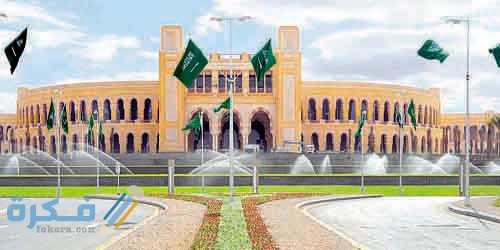 الهيكل الإدارى لجامعة الأميرة نورة بنت عبد الرحمن fr 41 1