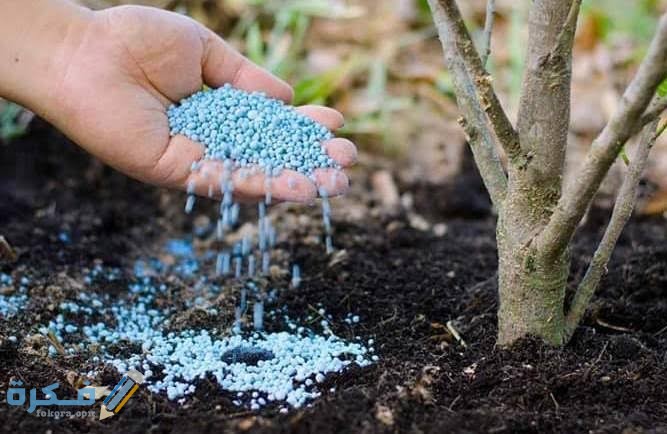 images 2021 12 02T001509.762