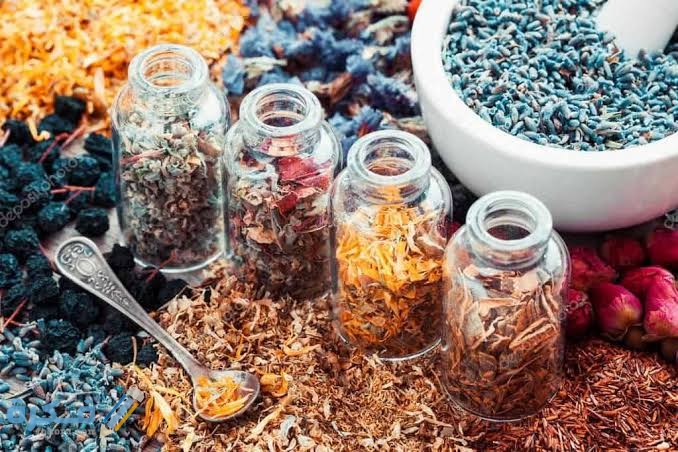 اسماء افضل أعشاب للتنحيف وإزالة الكرش من آي هيرب 2 images 83