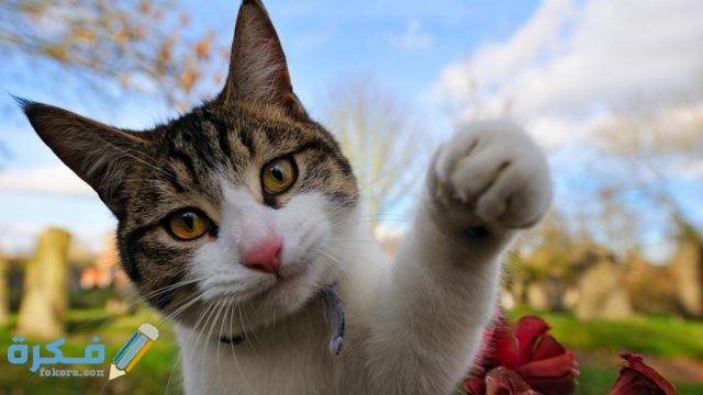 methode times prod web bin d90f7034 ff9d 11e7 a2b0 4e5c7848ab02