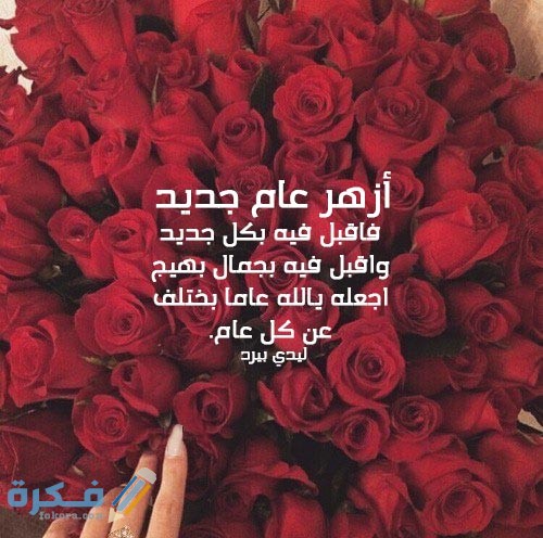 اجمل صور للعام الجديد بناتية 4