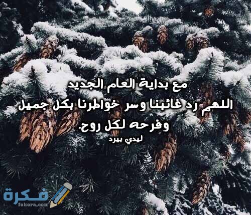 بوستات رأس السنة الميلادية 2021 رأس السنة 44