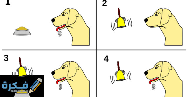 ايجابيات وسلبيات نظرية بافلوف 780x405 1