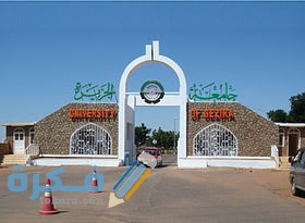 جامعة الجزيرة
