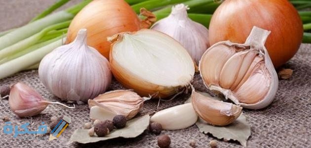 دراسة جدوى لمشروع تجارة البصل