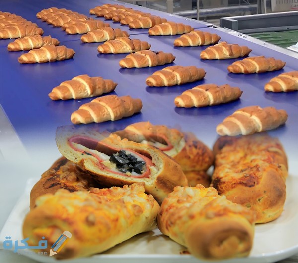 دراسة جدوى مشروع صناعة المعجنات دراسة جدوى مشروع مصنع معجنات